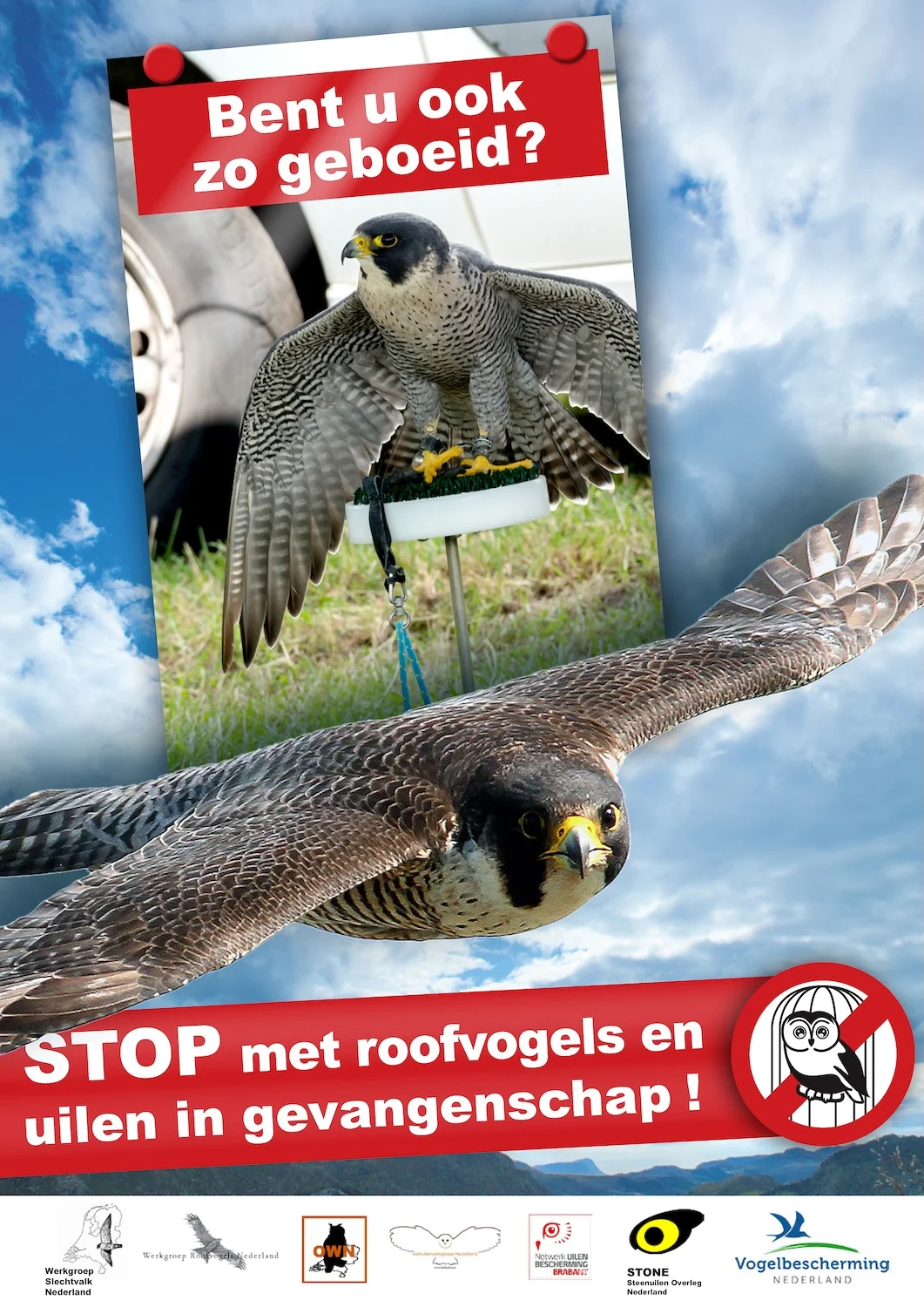 Niet voor de show