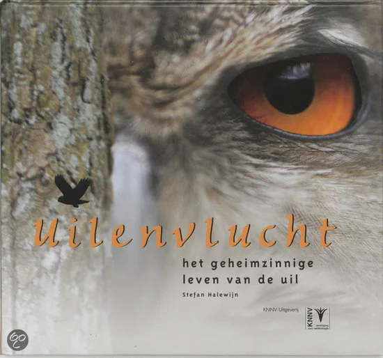 Asieluilen