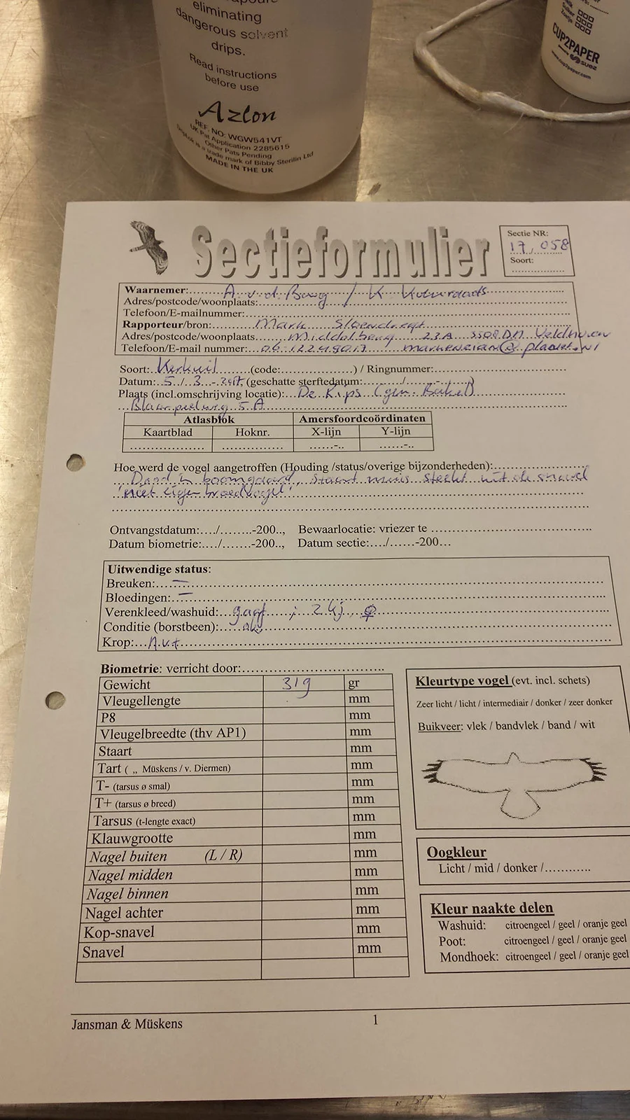 Anatomisch onderzoek van de kerkuil