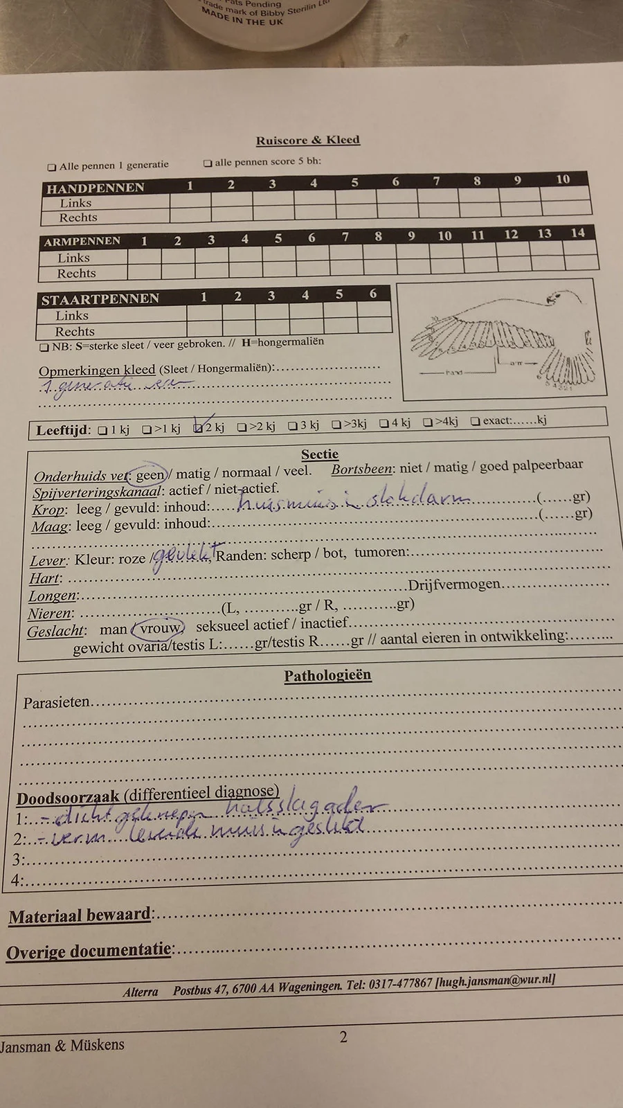 Detailopname tijdens onderzoek