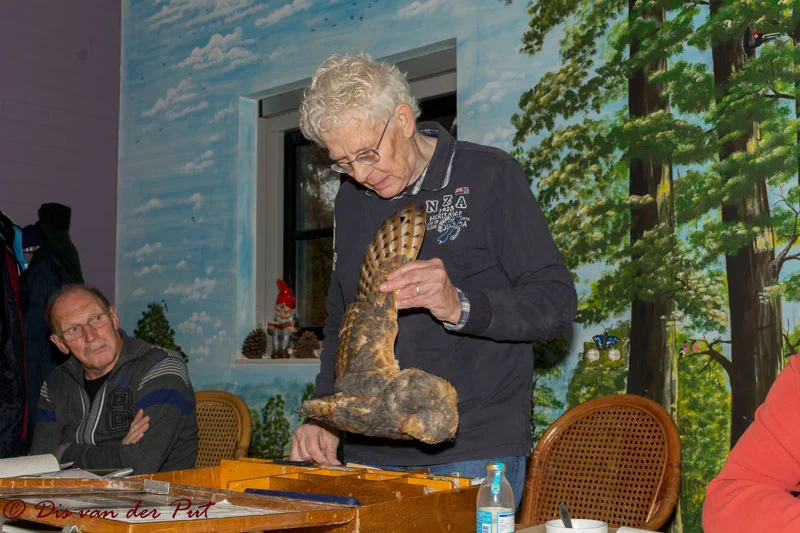 Workshop geslachtsbepaling kerkuil