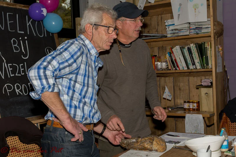 Workshop metingen bij kerkuil