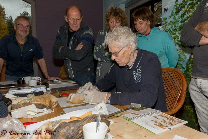 Workshop dissectie en bepaling
