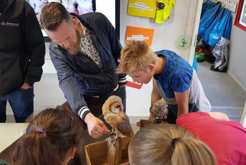 Leerlingen bekijken opgezette uilen