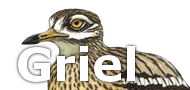 Griel